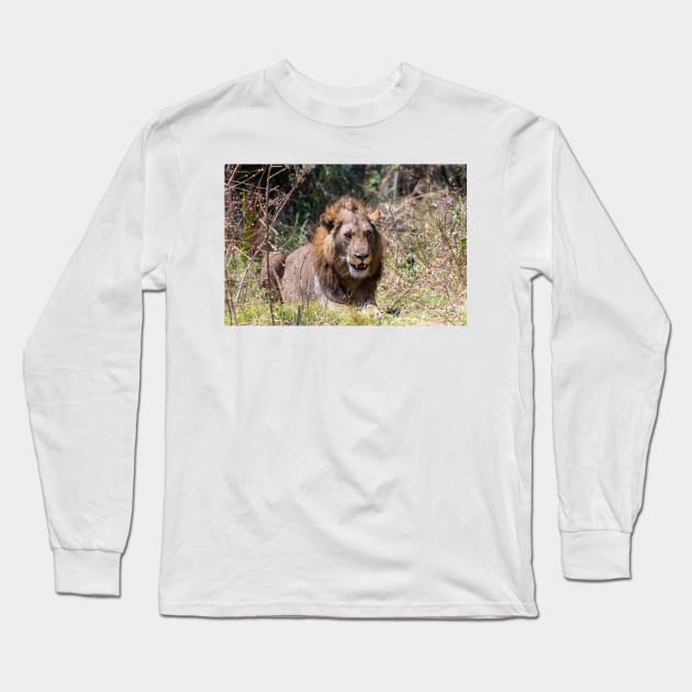 Smiling Lion Big Cat Showing His Teeth Long Sleeve T-Shirt by SafariByMarisa